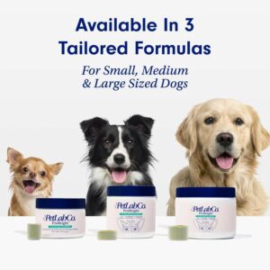 “1 Easy Solution: PetLab Co. ProBright Dental Powder for Fresh Dog Breath – Gentle Tartar & Bad Breath Control for Small Dogs”